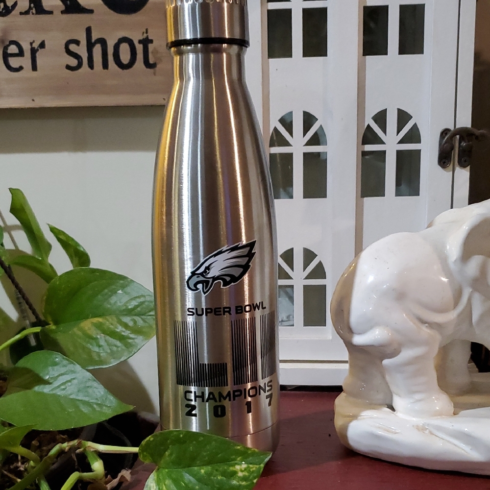 Super Bowl Champions 2017 Stainless Steel Bottle